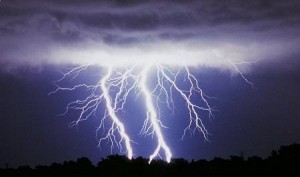 Lightning Protection for Trees. Chesapeake, Norfolk, Portsmouth, Suffolk, Virginia Beach, Hampton, Newport News