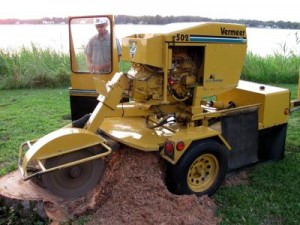 Stump Removal Portsmouth VA